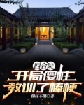 四合院:开局傻柱教训了棒梗!