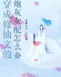 穿成修仙文的炮灰女配怎么办