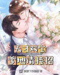 天才双宝:爹地请接招