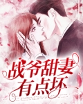 战爷甜妻有点坏
