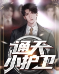 通天小护卫