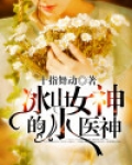 冰山女神的小医神