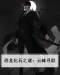 恐龙化石之谜:云峰寻踪