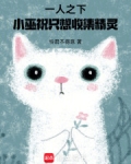 一人之下,小巫祝只想收集精灵