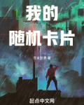 我的随机卡片