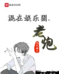 混在娱乐圈之老炮