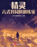 精灵:六式开局的训练家