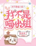 我不是喵小姐
