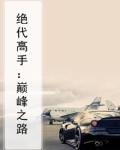 绝代高手:巅峰之路
