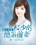 谋心夺爱:权少的绝品前妻