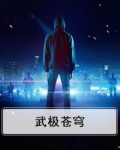 武极苍穹