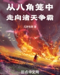从八角笼中走向诸天争霸