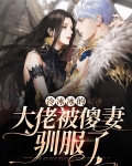 冷冰冰的大佬被傻妻驯服了