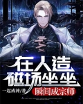 在人造磁场坐坐,瞬间成宗师
