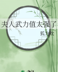 夫人武力值太强了