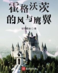 霍格沃茨的风与鹰翼