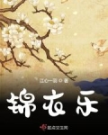 锦衣乐