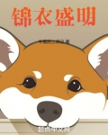 锦衣盛明