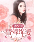 傅少的替嫁绵妻
