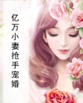 亿万小妻抢手宠婚