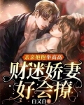 亲亲抱抱举高高:财迷娇妻好会撩