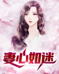 妻心如迷