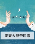宠妻大叔带回家