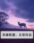 英雄联盟:无双传说