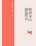 除却巫山更是云