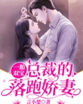 一胎双宝:总裁的落跑娇妻