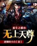 重生之都市无上天尊