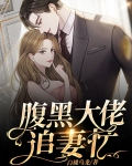 腹黑大佬追妻忙