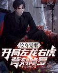 神纹觉醒:开局左龙右虎背刻修罗
