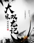 大宋双龙记