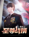 都市之至尊战婿