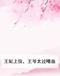王妃上位,王爷太过嗜血