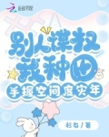 别人谋权我种田,手握空间度灾年