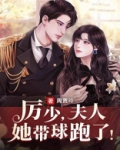 厉少,夫人她带球跑了!