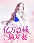 亿万总裁枭宠妻