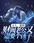 夫人,您的财阀老公又想要个孩子