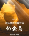 我从低武世界开始化金乌