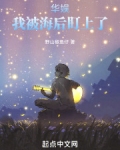华娱:我被她盯上了
