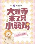 大理寺来了只小弱鸡