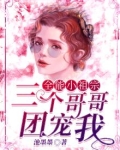 全能小祖宗:三个哥哥团宠我