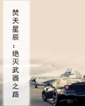 焚天星辰:绝灭武器之路