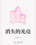 消失的光亮