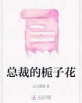总裁的栀子花