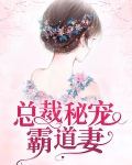总裁秘宠霸道妻