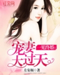 宠妻大过天