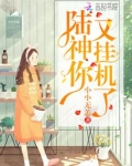 陆神你又挂机了